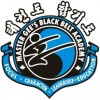 Master Gee's Black Belt Academy logo